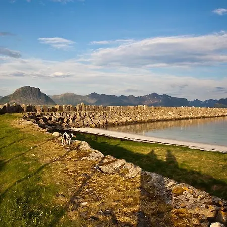 Lofoten - The Steamery *