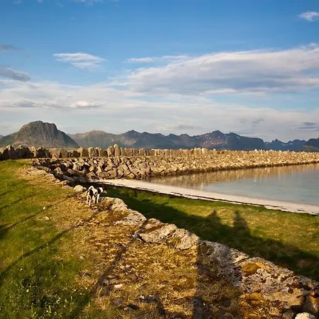 Lofoten - The Steamery *