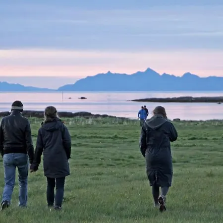 Lofoten - The Steamery