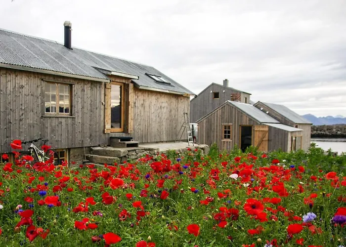 Lofoten - The Steamery Feriehus *