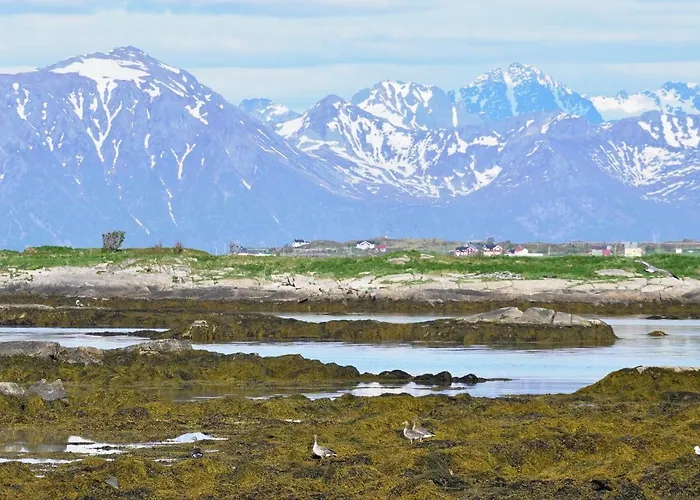 Feriehus Lofoten - The Steamery