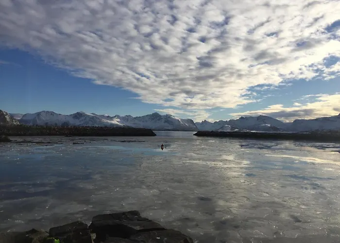 Lofoten - The Steamery Дом отдыха Kvalnes (Vestvagoy)